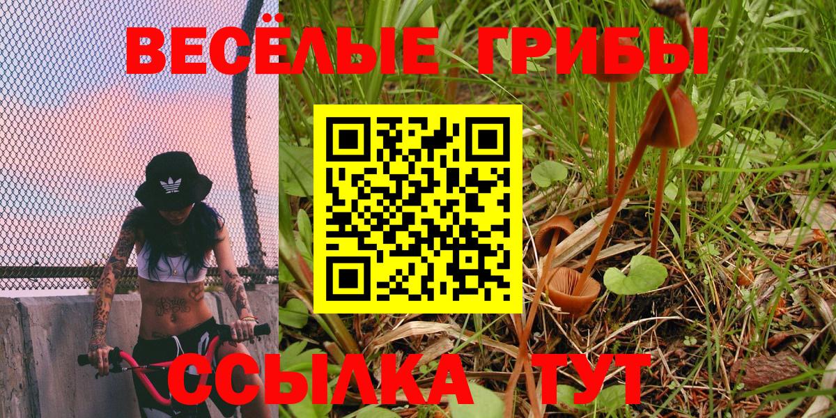 Великий Новгород  Галлюциногенные грибы GOLDEN TEACHER  Галлюциногенные грибы ЛСД  Вход с VPN 